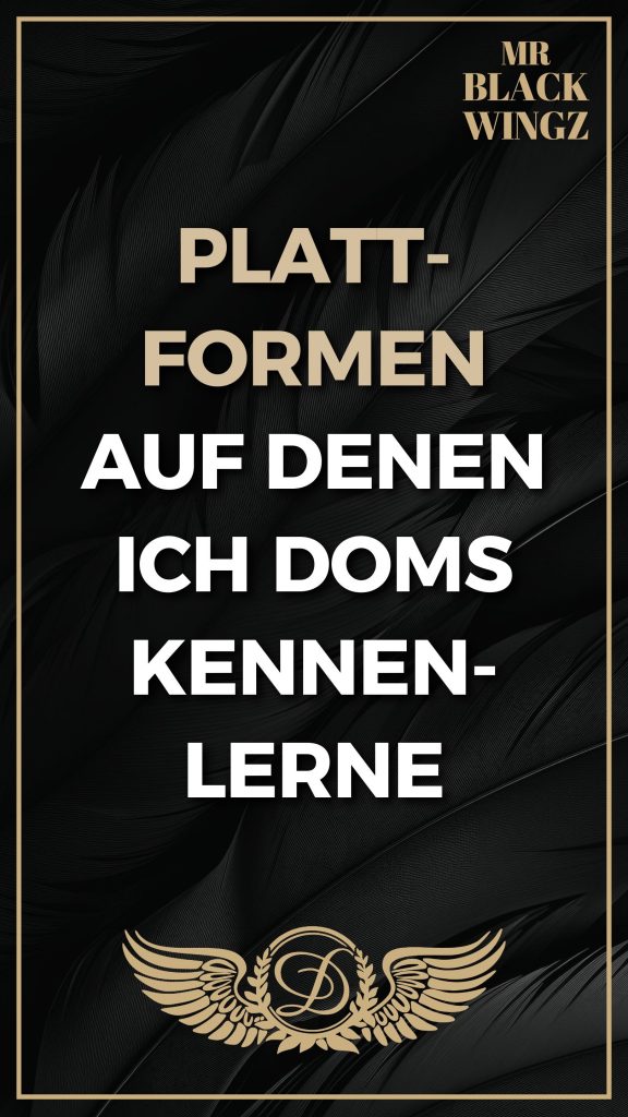 Plattformen auf denen ich Doms kennenlerne